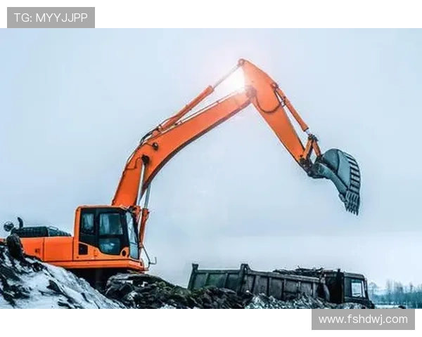 推土机与挖掘机协同作业